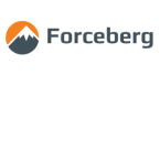 Логотип Forceberg.shop